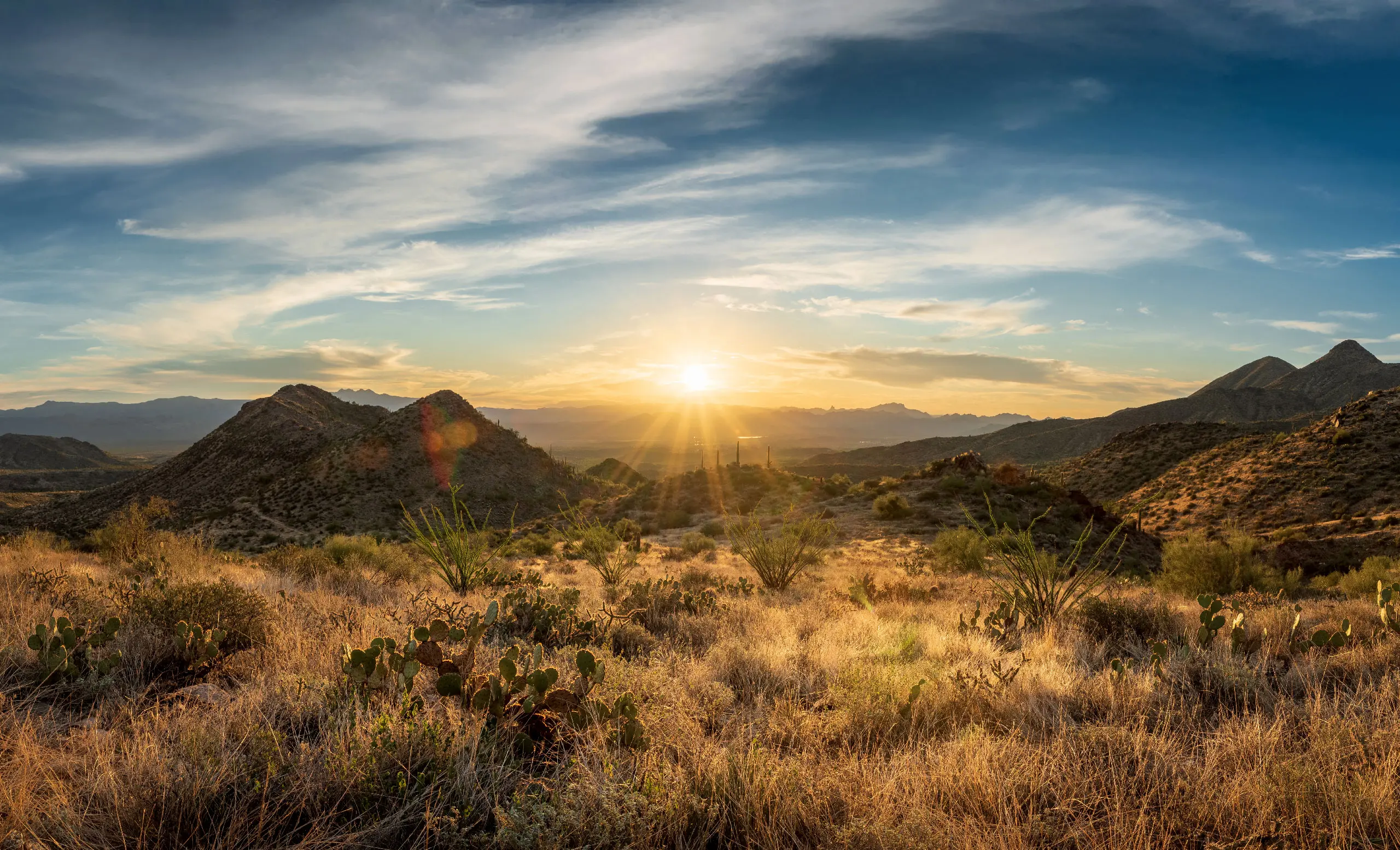 McDowell_Mtn_AZ